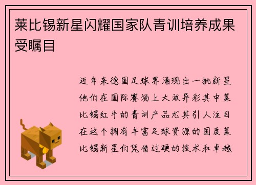 莱比锡新星闪耀国家队青训培养成果受瞩目